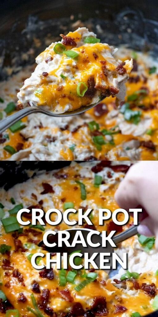 crock pot crack chicken recipe
